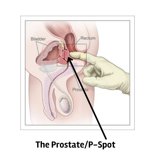 amy tannenbaum recommends anal masterbation positions pic