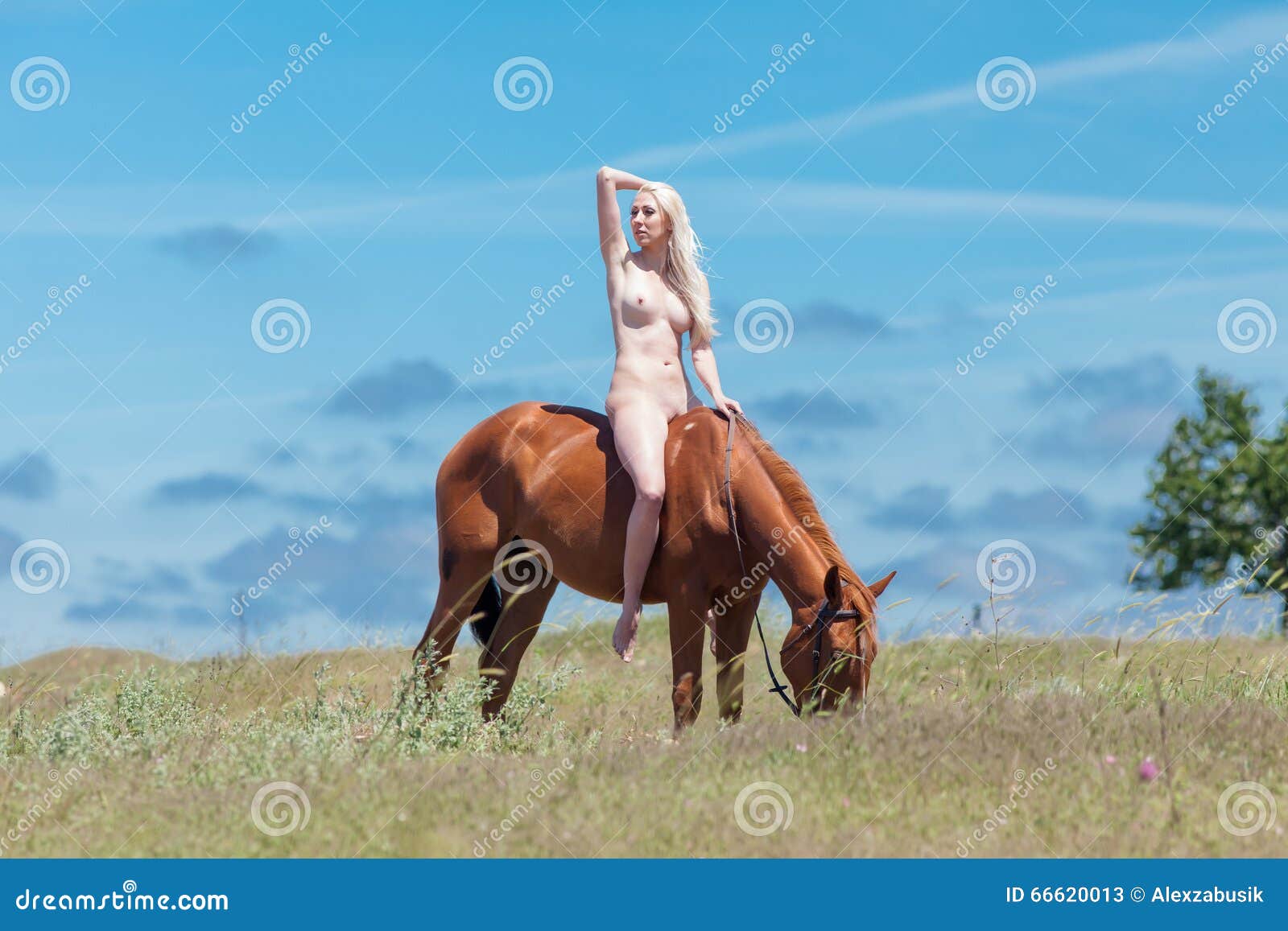 brenda pethick recommends nude women riding horses pic