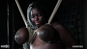 aakash bhatia share ebony in bdsm photos