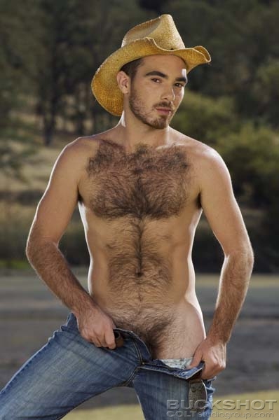 christian cancino recommends hairy chested nude men pic