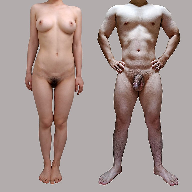 japenese naked women