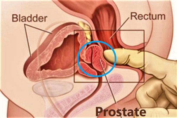 prostate stimulation stories