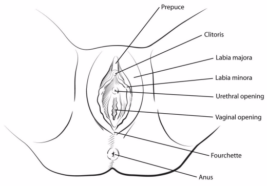 debby bowers recommends needle thru clit pic