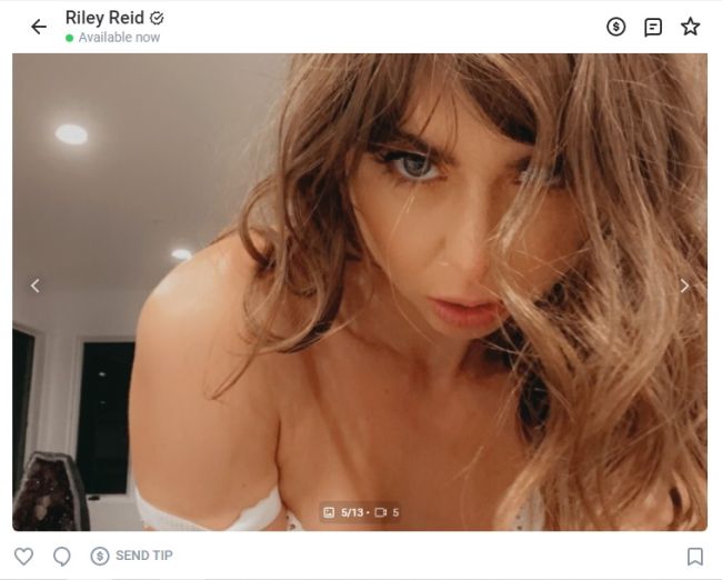 chris montfort recommends riley reid only fan pic