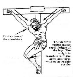 aarti karnik recommends twinks crucified pic