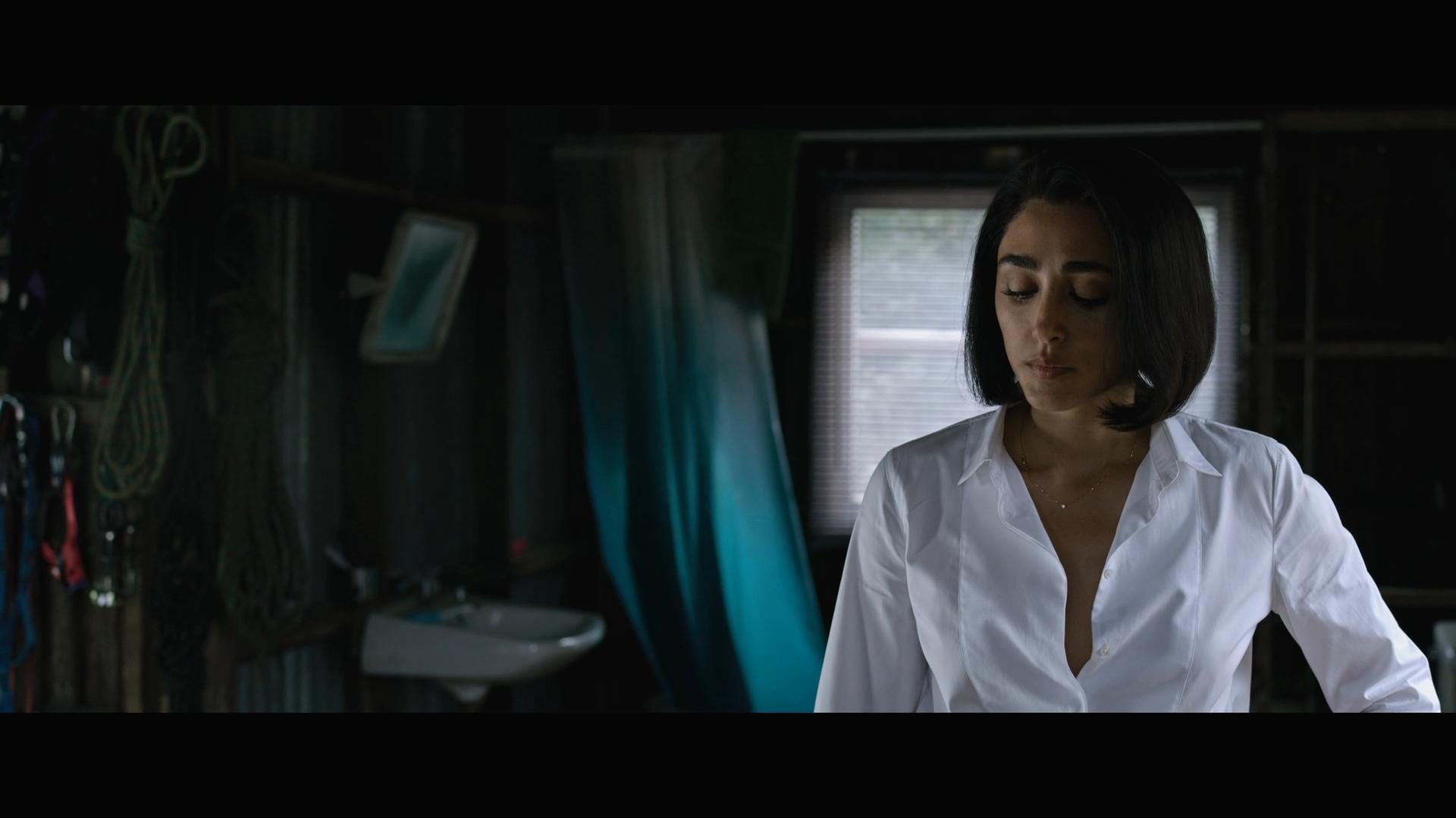 alonzo de ojeda add photo golshifteh farahani sexy