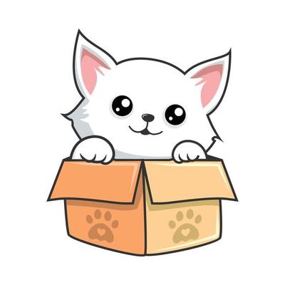 debbie zarate recommends pussy in a box pic