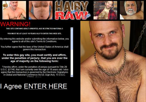 cheryl dehart share hairy bear porn photos