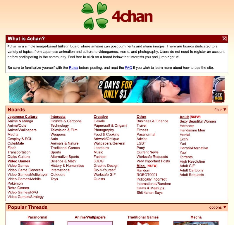 ayman gadban recommends Porn On 4chan