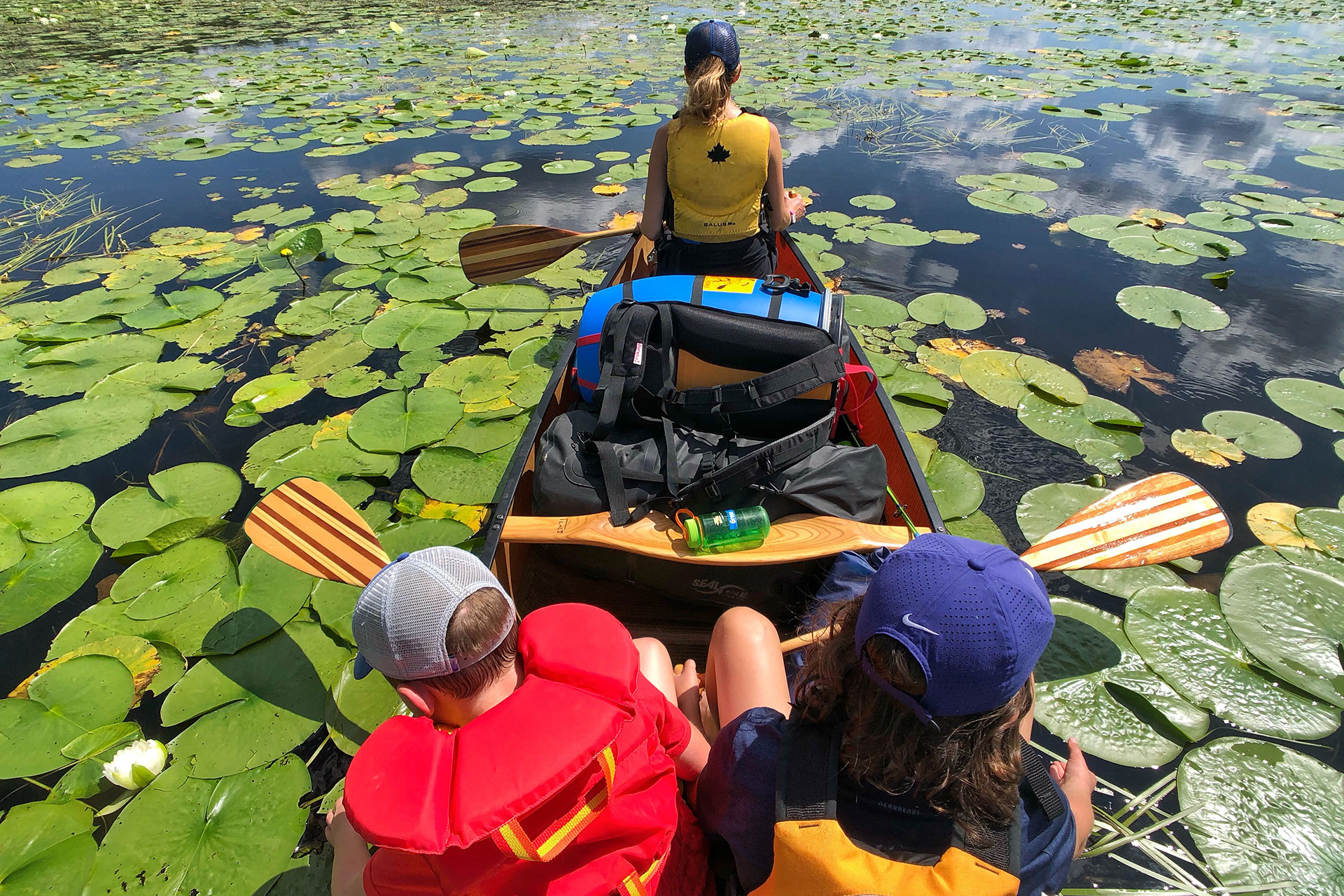 ch ay recommends family canoe trip goes wrong pic