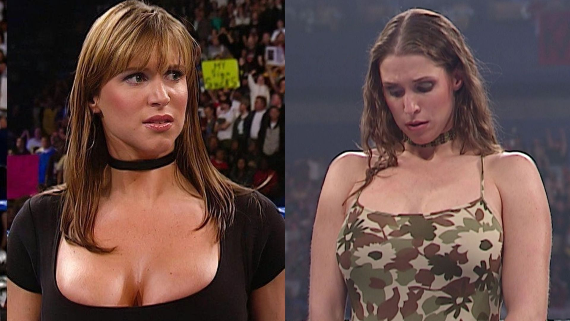 brandon burtner recommends stephanie mcmahon cleavage pic