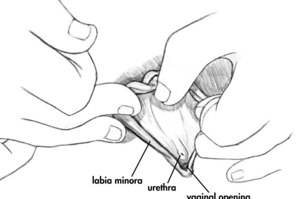 brian ruud recommends Finger In Urethra