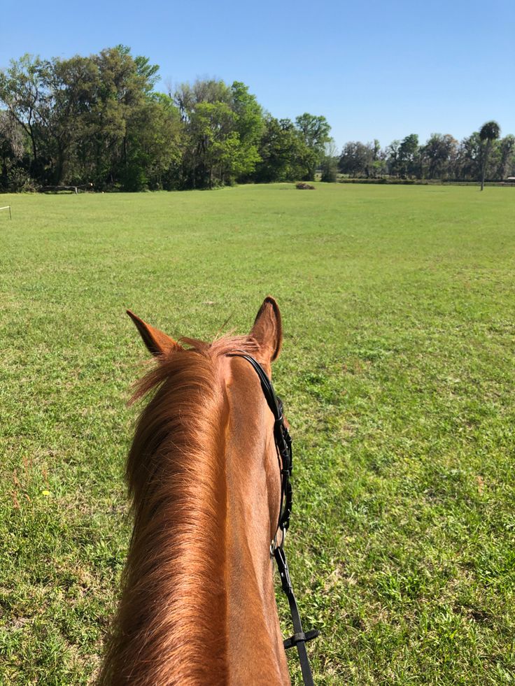 ann halley add photo pov riding