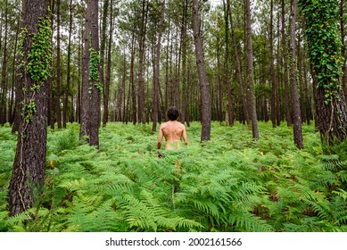 ahmod ali share naked in forest photos