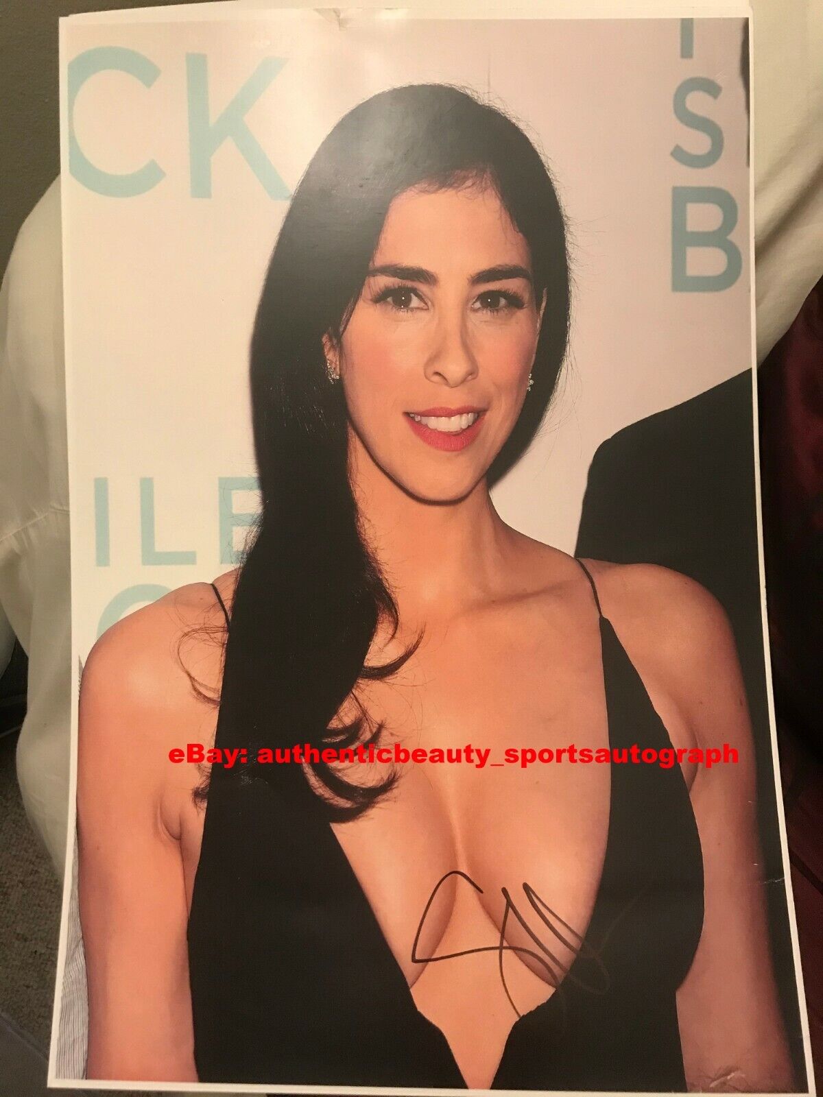 angie dickinson recommends Sarah Silverman Sexy Pics