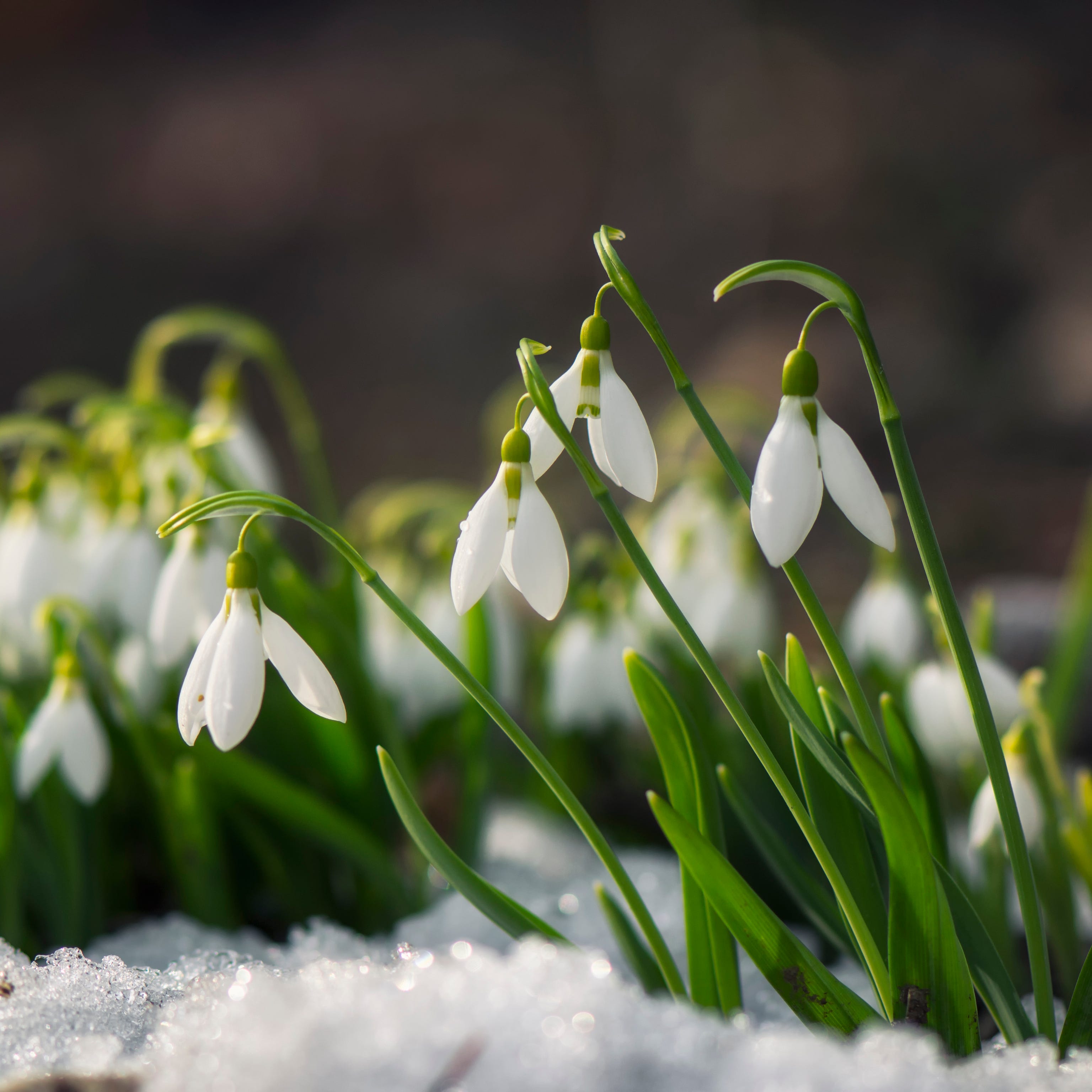 amit rajbhandari share winter bell porn photos