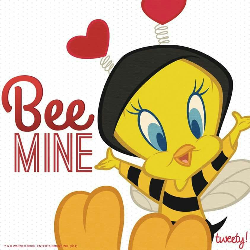 Tweety Valentine videos spyfam