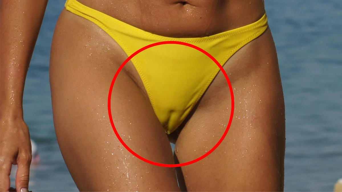 christopher banday recommends camel toe tiny pic