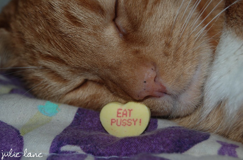 chris gonce add cat eat pussy photo