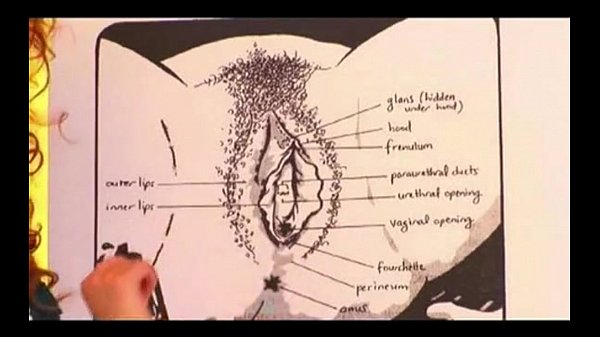 andrew walzer recommends cunnilingus tutorial pic