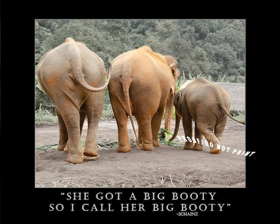 arthur ii recommends Asian Booty Call