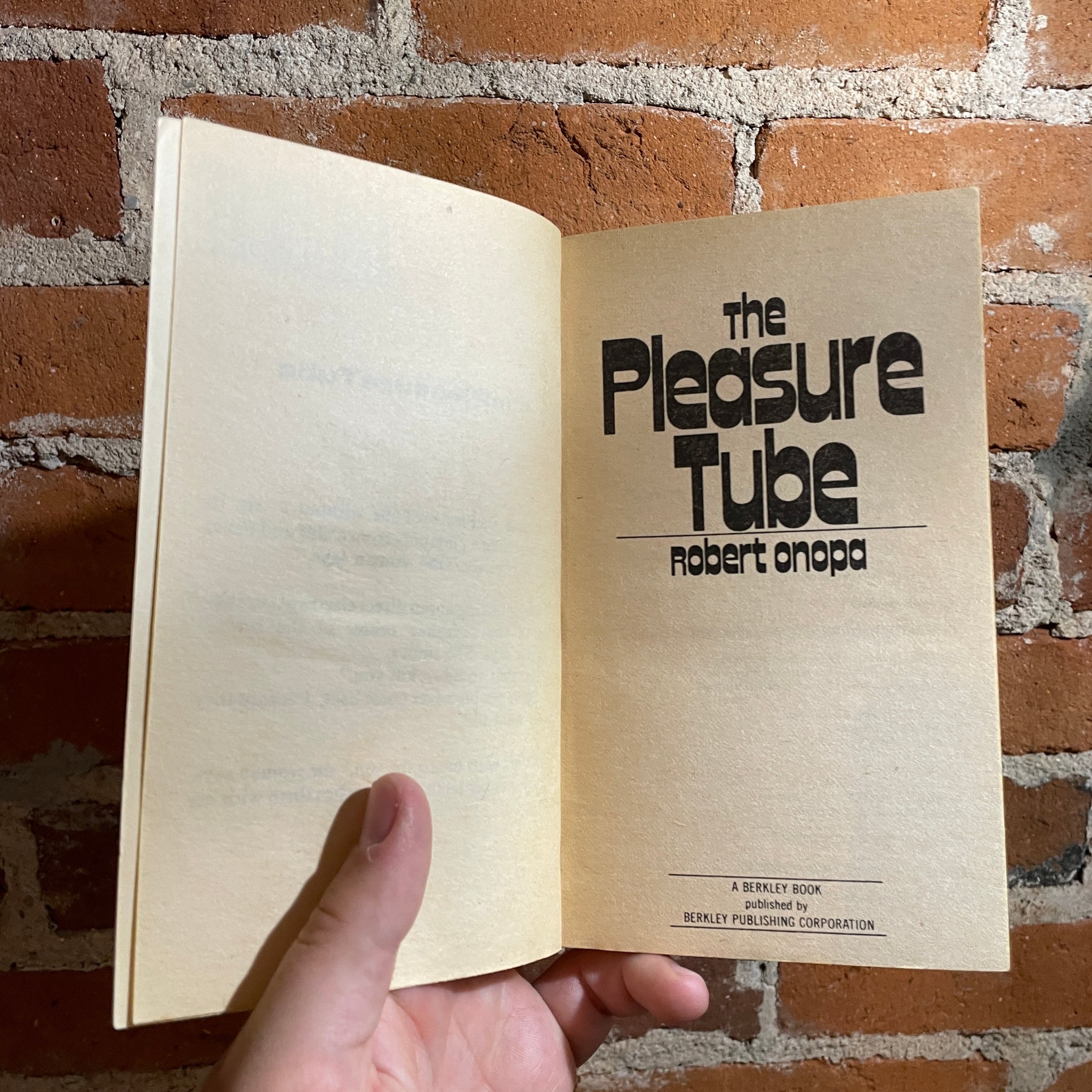 bob salt recommends tube plesure pic