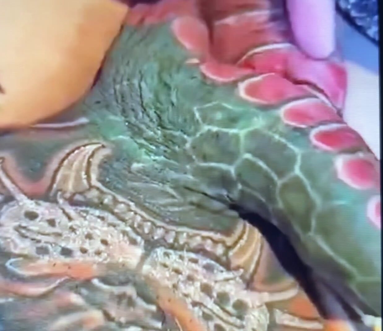 Dragon Tattoo On Cock naked fuckin