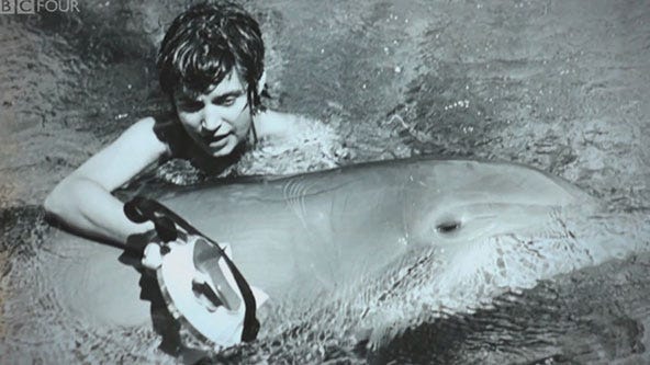 bill graver add man fucks dolphin photo