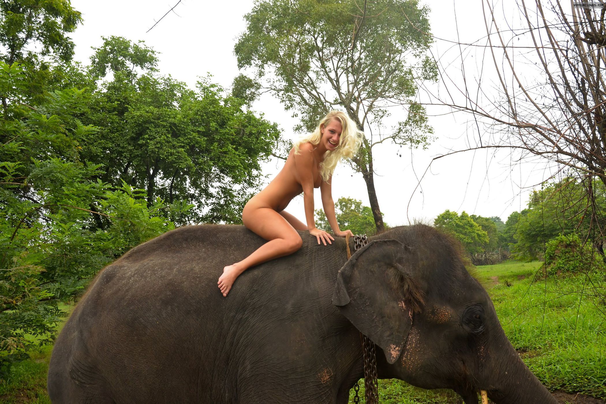 adrian john smith share elphant porn photos