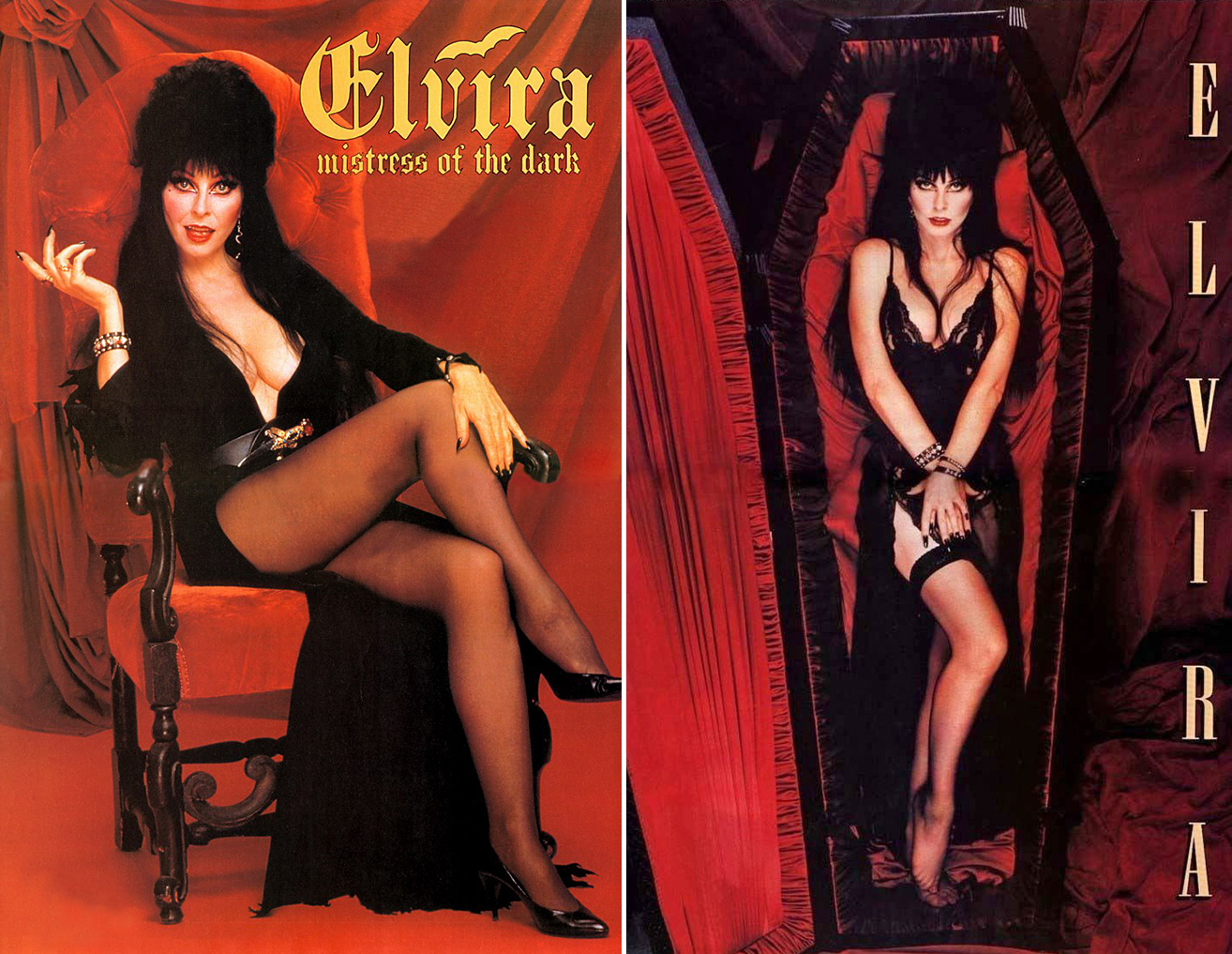 aswani singh recommends Elvira Mistress Of The Dark Nude