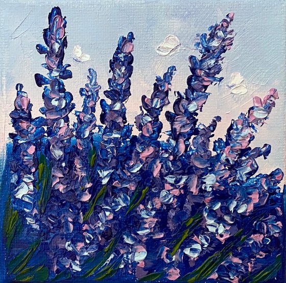 brenda knaub recommends lavender joy pic