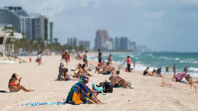 brian bundrick recommends nude beach in fort lauderdale pic