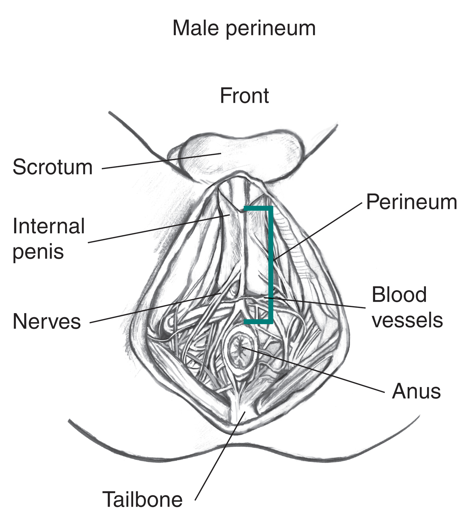 chuck croston recommends Penis In Boys Ass