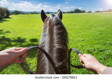 pov riding you