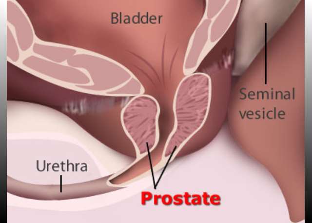 barbara ann eldridge recommends Prostate Stimulation Stories