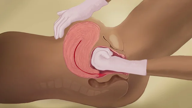 uterus porn