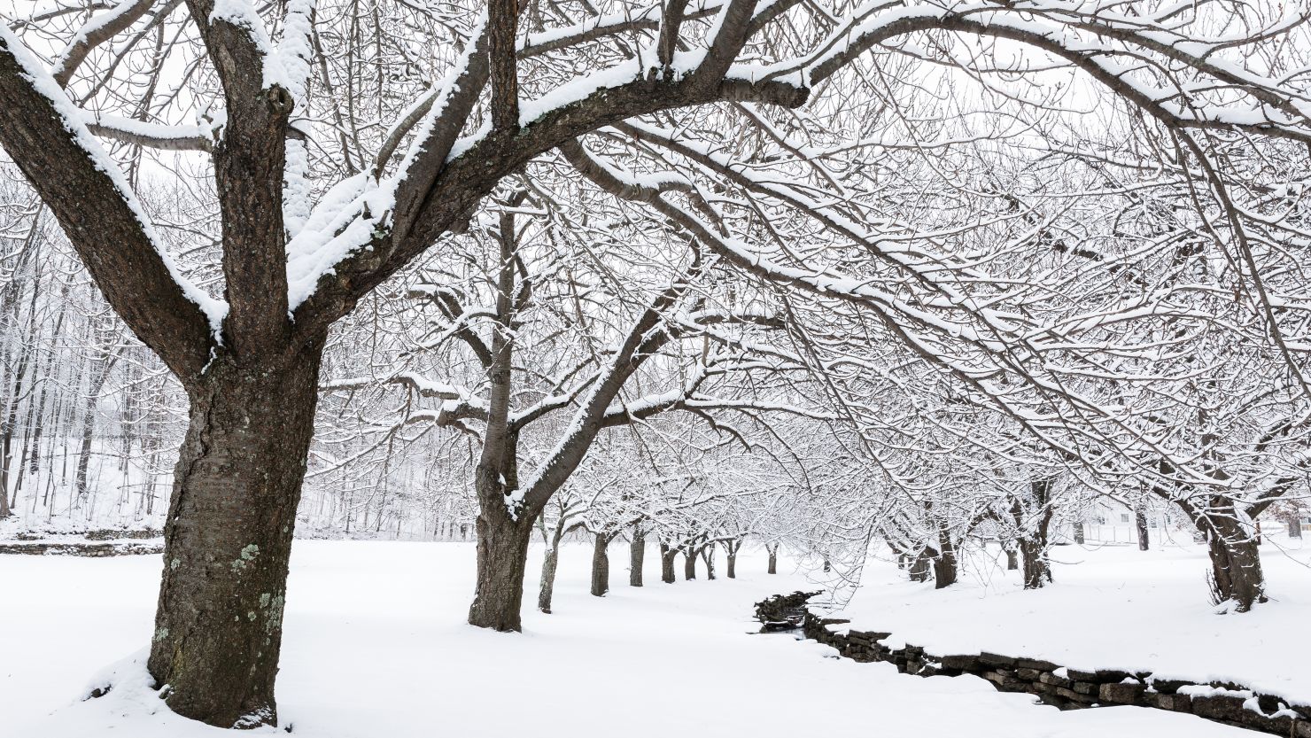 alexandra leveque recommends Winter Bell Porn